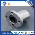 Low Temperature Germany Rexroth Linear Ball Bearing (R067102500)